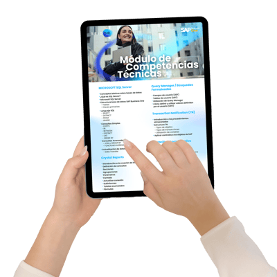 Mockup-B1-Competencias-Tecnicas