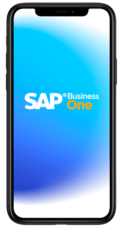 sap-mockup comp